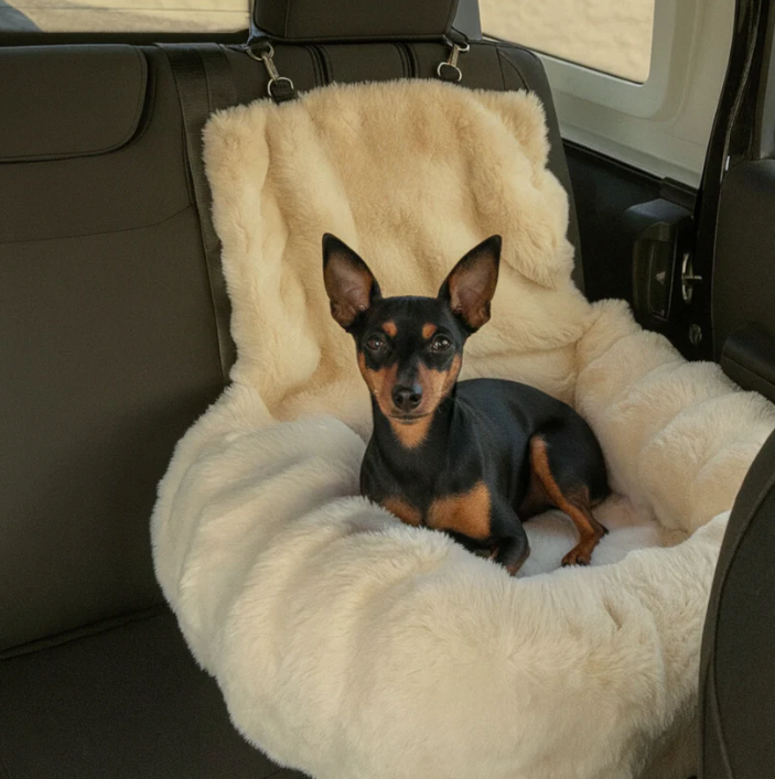 SafeNest - AutoBädd