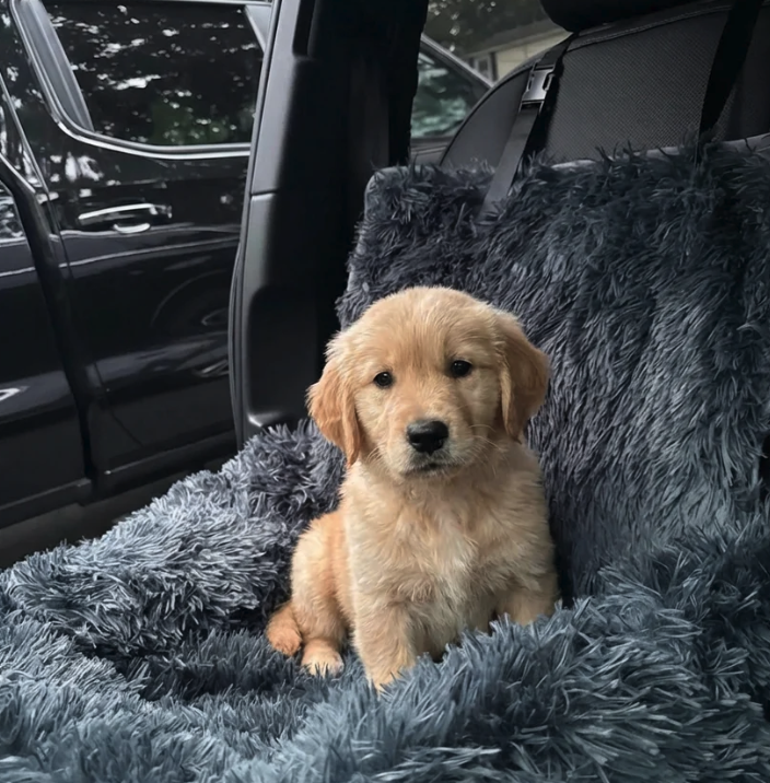 SafeNest - AutoBädd